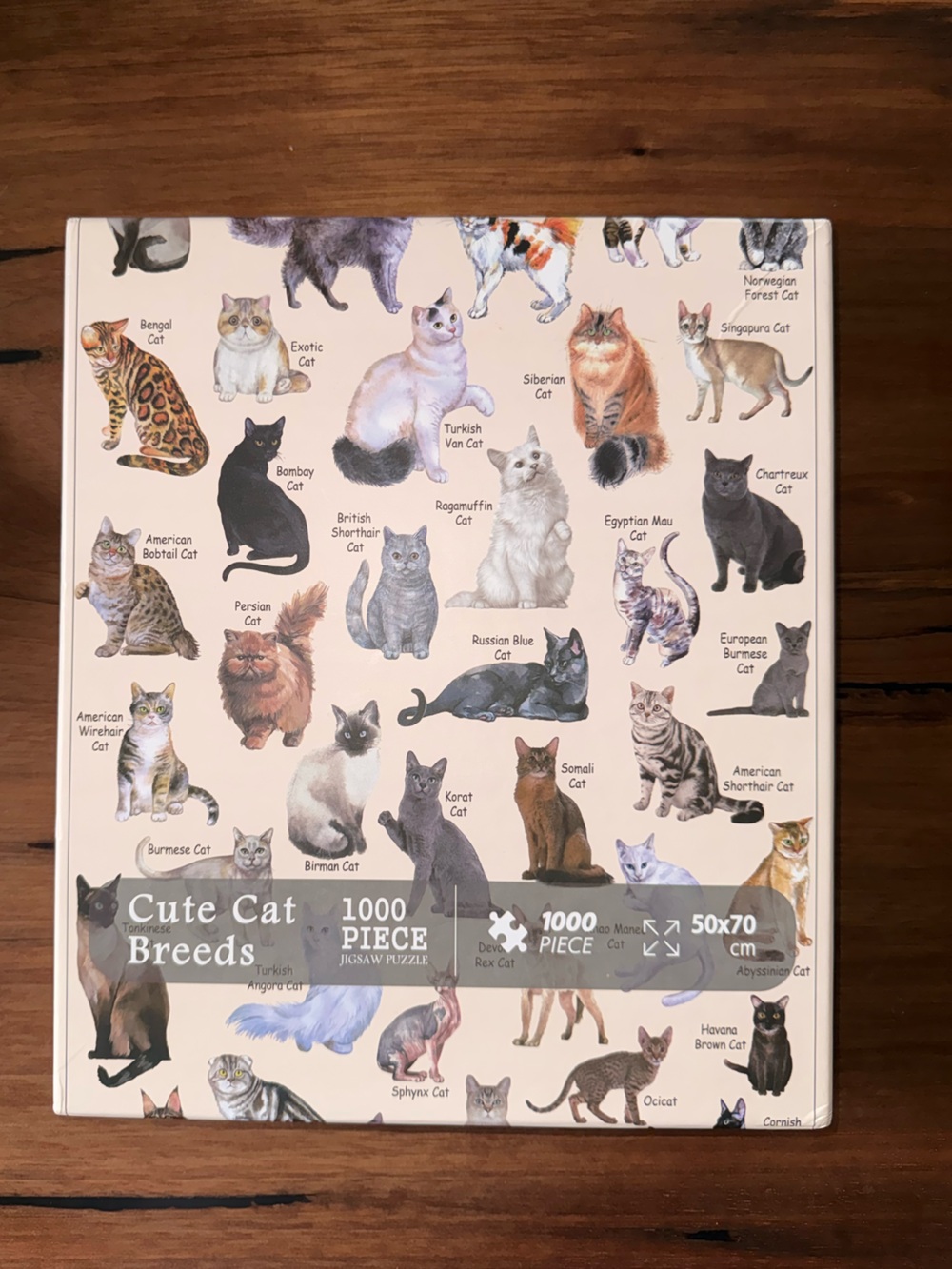 Cat Puzzle